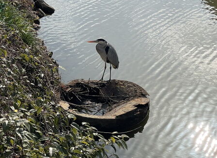 ��������