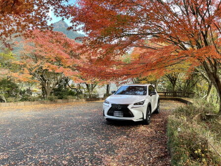 ��ǻ����5