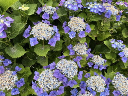 ����������3