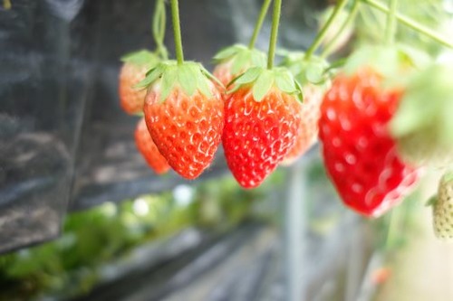 ����������2