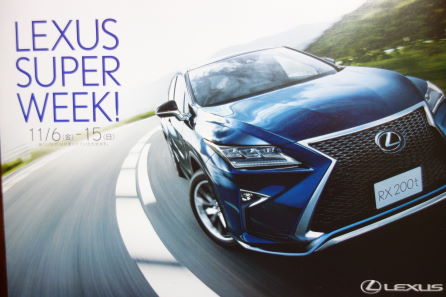 �����ѡ��������� - ���ԡ�