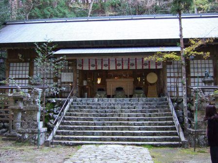 ȬȨ������