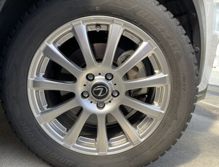 ¥¹¥¿¥Ã¥É¥ì¥¹¥Û¥¤¡¼¥ë