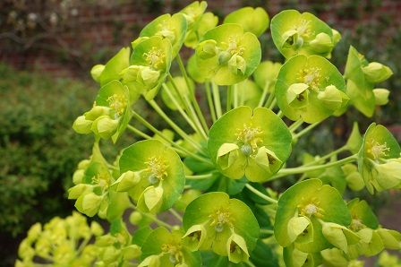 ���塼��å�7