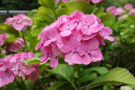 ��������3