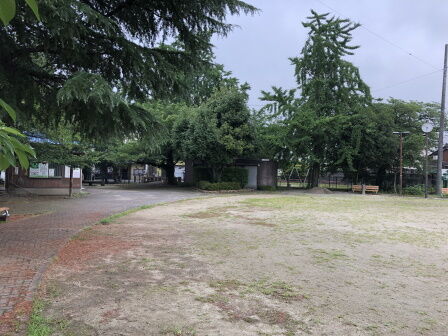 ���������󥰸���