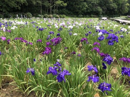 �󸫥��祦��