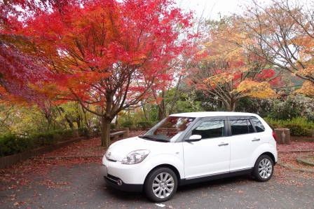 ���դȥ٥꡼��