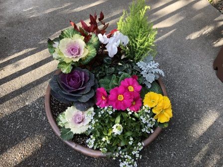 �󤻿���2017