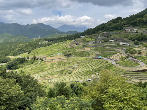 丸山千枚田1