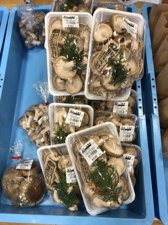 ���ڤ�������