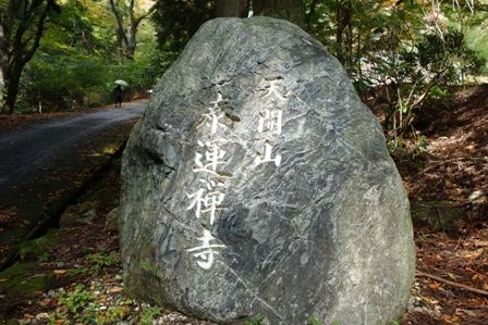 �����ٱ���