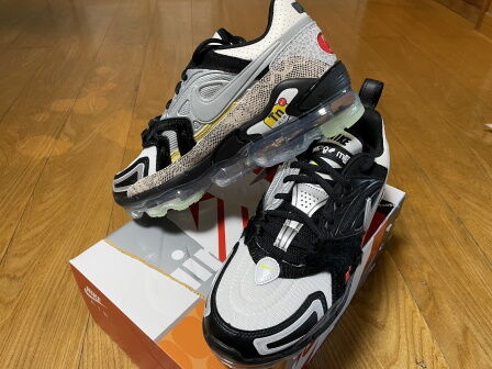 Air max evo3