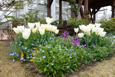 ���塼��å�3