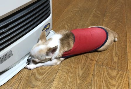 �Ϥ�����