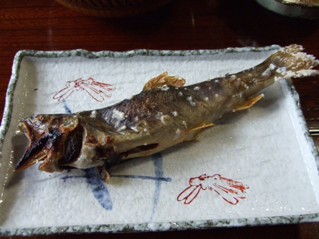 ������Ƥ�