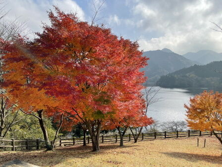 ��ǻ����2