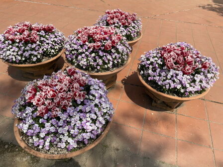 �٥�ե�����5