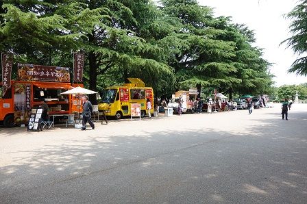 ��ư����