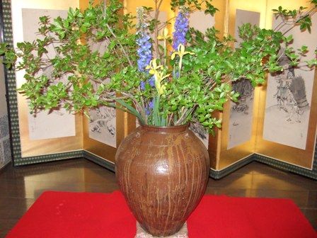 ���žƲ���