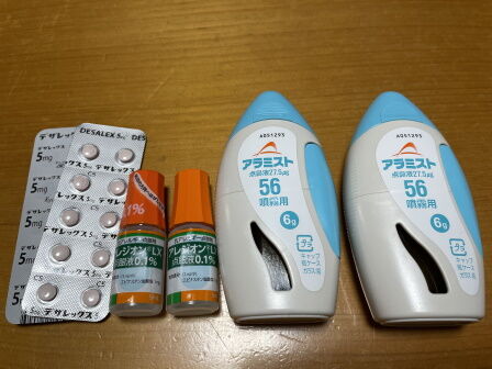 ��ʴ����