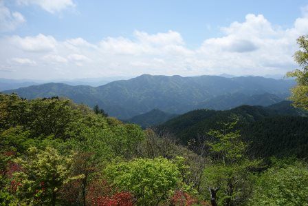 頂上