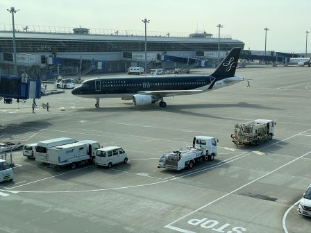 �������ե饤�䡼