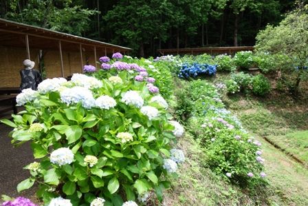 ��������5