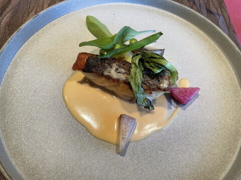 ������ɥ������ȵ�