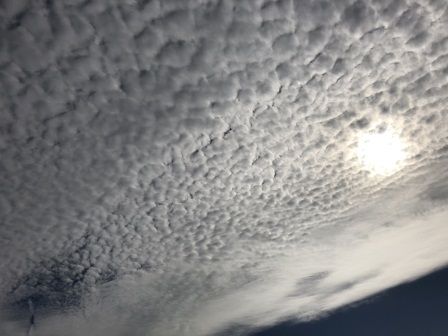 ��������1