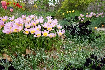 ���塼��å�10