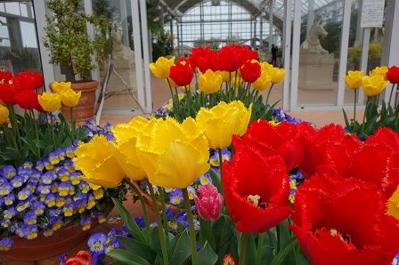 ���塼��å�2