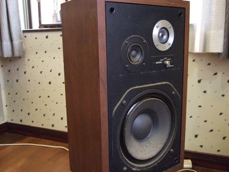 ���ԡ�����