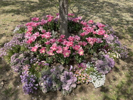 �٥�ե�����9