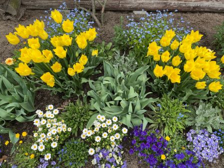 ���塼��åף�