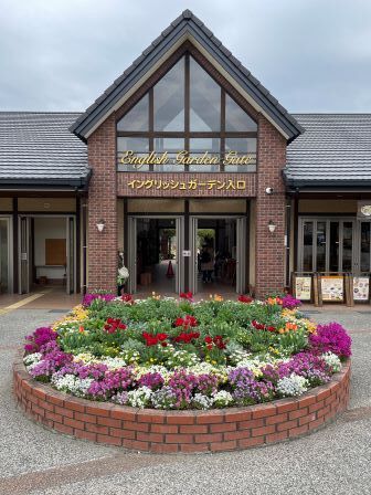 ���󥰥�å��奬���ǥ�