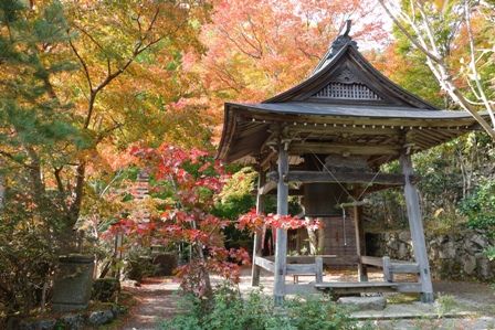 �ٱ������