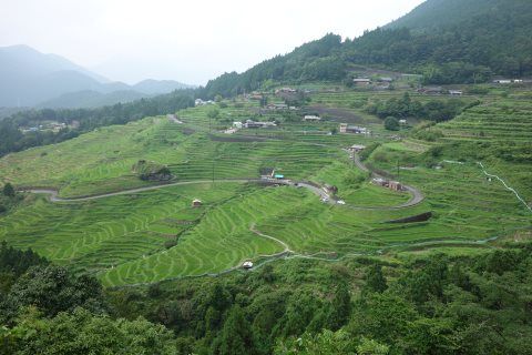 �ݻ�������