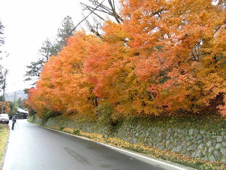 2006��ߤ���ƻ