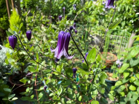 ����ޥ���2