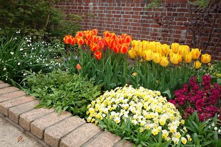 ���塼��å�6