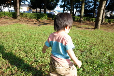 �Ĥ���ε��