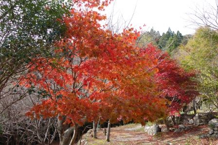 �ٱ�����ߤ�