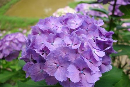 ��������6