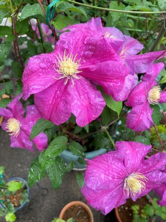 ����ޥ���3