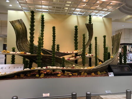 ���粰����