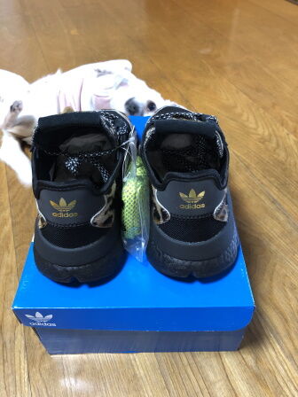 ナイトジョガー3