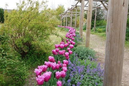 ���塼��å�9