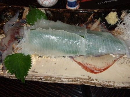 �����褭¤��