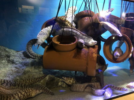 �����²��2